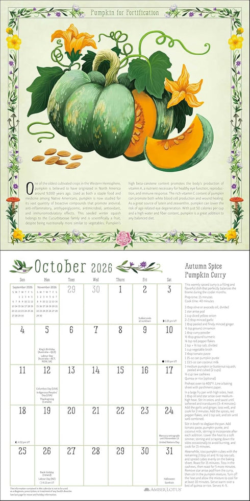 KITCHEN WITCH 2026 WALL CALENDAR